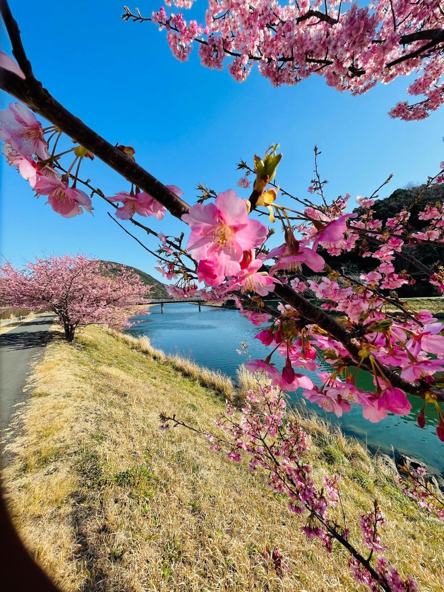 Patagonia Home Shimoda  Zewnętrze zdjęcie